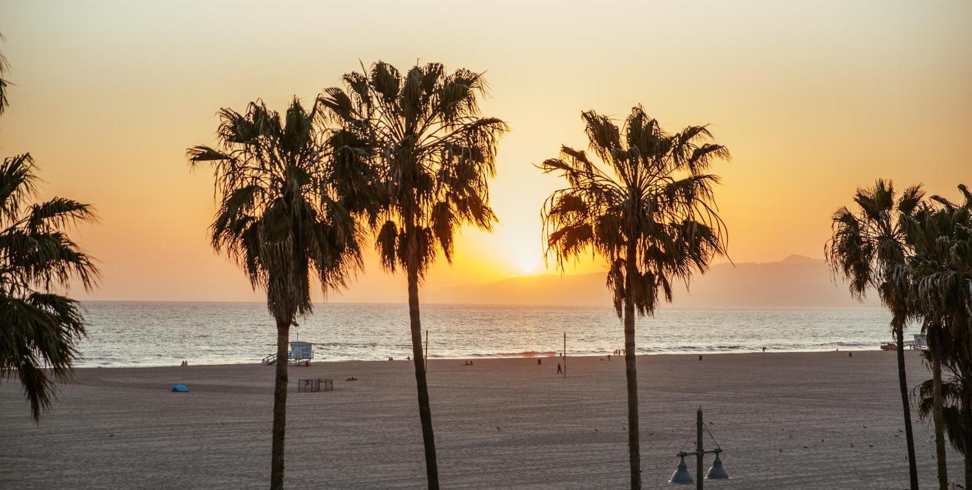 Open Venice * Los Angeles